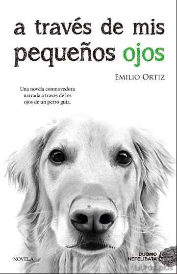 Descargar gratis ebook A TRAVES DE MIS PEQUEÑOS OJOS (8ª ED.) en epub
