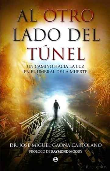 Descargar ebook AL OTRO LADO DEL TUNEL