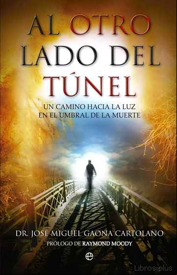 Descargar gratis ebook AL OTRO LADO DEL TUNEL: UN CAMINO HACIA LA LUZ EN EL UMBRAL DE LA MUERTE en epub