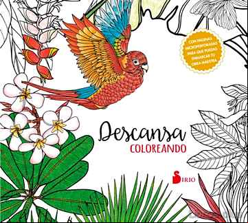 Descargar gratis ebook DESCANSA COLOREANDO en epub