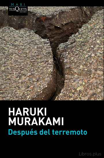 Descargar gratis ebook DESPUES DEL TERREMOTO en epub