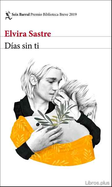 Descargar gratis ebook DIAS SIN TI (PREMIO BIBLIOTECA BREVE 2019) en epub