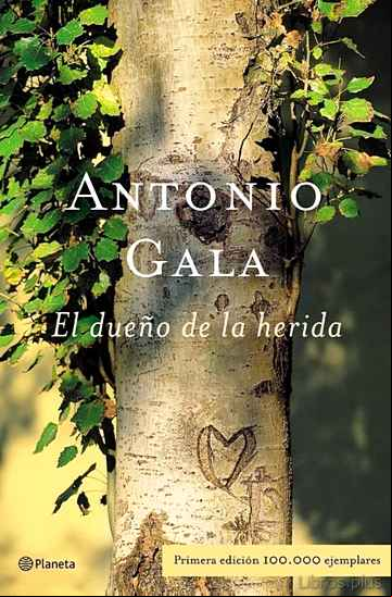 Descargar gratis ebook EL DUEÑO DE LA HERIDA en epub