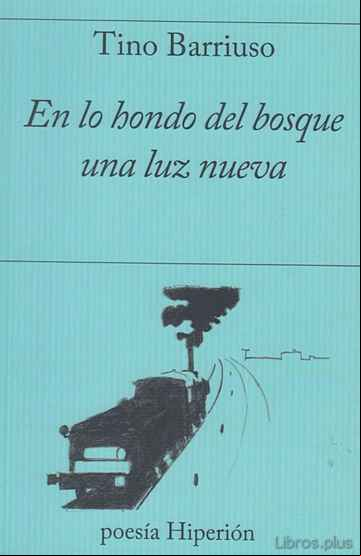 Descargar gratis ebook EN LO HONDO DEL BOSQUE UNA LUZ NUEVA en epub