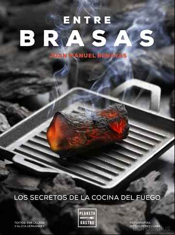 Descargar gratis ebook ENTRE BRASAS: LOS SECRETOS DE LA COCINA DEL FUEGO en epub