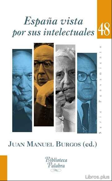 Descargar gratis ebook ESPAÑA VISTA POR SUS INTELECTUALES en epub