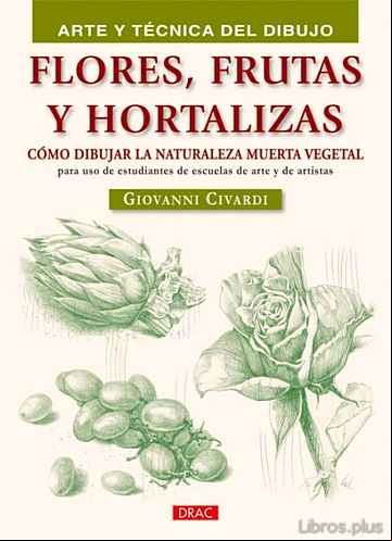 Descargar gratis ebook FLORES,FRUTAS Y HORTALIZAS: COMO DIBUJAR LA NATURALEZA MUERTA VEG ETAL en epub