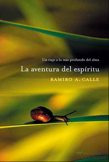 Descargar gratis ebook LA AVENTURA DEL ESPIRITU: UN VIAJE A LO MAS PROFUNDO DEL ALMA en epub