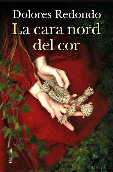 Descargar ebook LA CARA NORD DEL COR