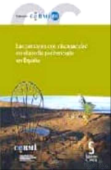 Descargar ebook LAS PERSONAS CON DISCAPACIDAD EN EL MEDIO PENITENCIARIO EN ESPAÑA