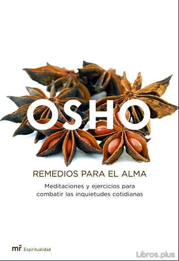Descargar ebook REMEDIOS PARA EL ALMA: MEDITACIONES Y EJERCICIOS PARA COMBATIR LAS INQUIETUDES COTIDIANAS