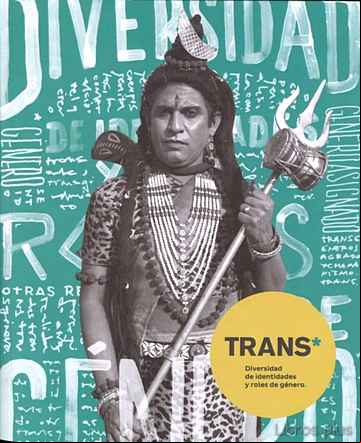 Descargar gratis ebook TRANS. DIVERSIDAD DE IDENTIDADES Y ROLES DE GÉNERO en epub