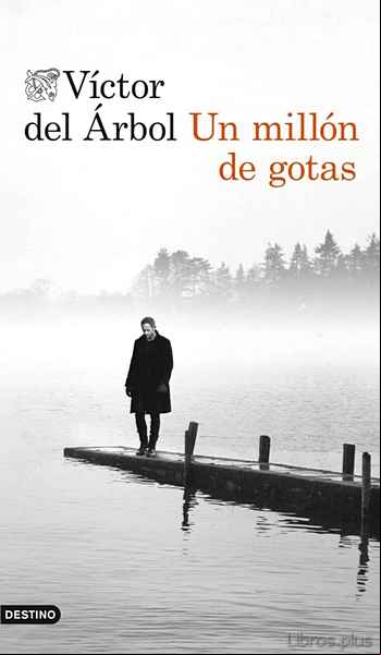 Descargar ebook UN MILLON DE GOTAS
